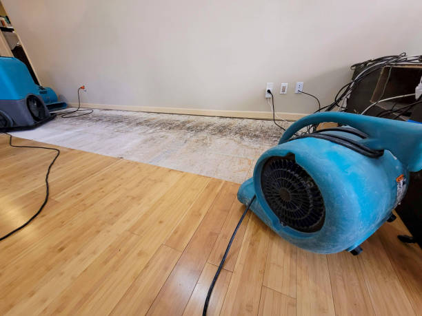 Professional Structural Drying technician working in Grimsley, TN